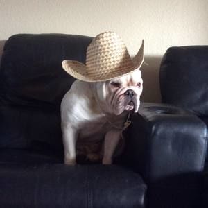 Meet your Posher, Donna